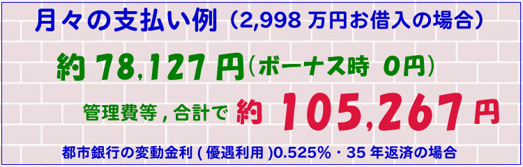 月々の支払い例